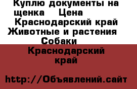 Куплю документы на щенка  › Цена ­ 3 000 - Краснодарский край Животные и растения » Собаки   . Краснодарский край